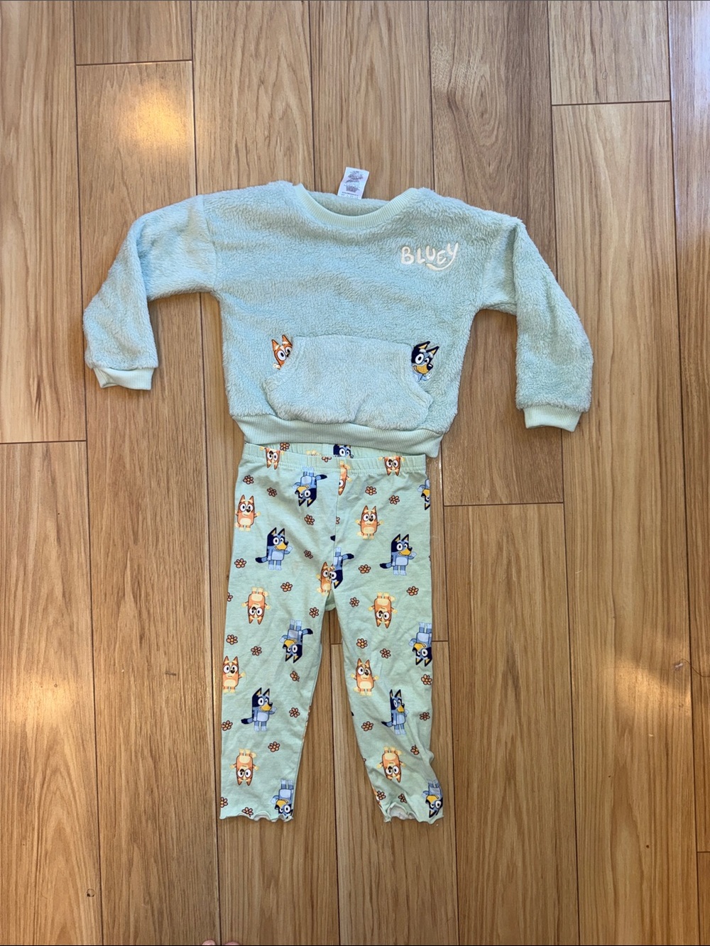 Kids' Bluey Light Green/Blue Fleece Set